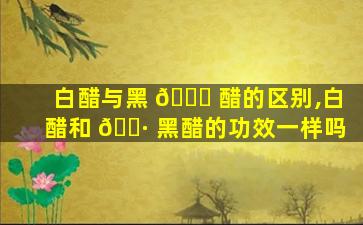 白醋与黑 🍁 醋的区别,白醋和 🌷 黑醋的功效一样吗